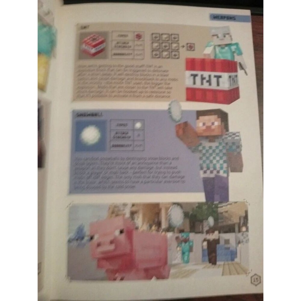 Minecraft Guide to Combat - Picture 4 of 6